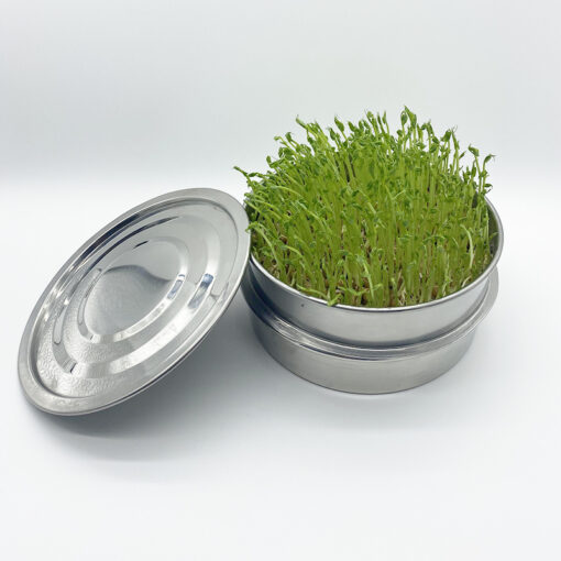 stainless steel sprouting tray